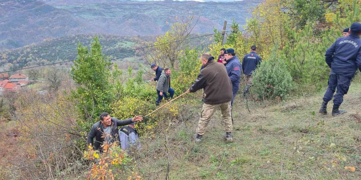Defne Toplarken Kaybolmuştu: Kadının Cansız Bedeni Bulundu
