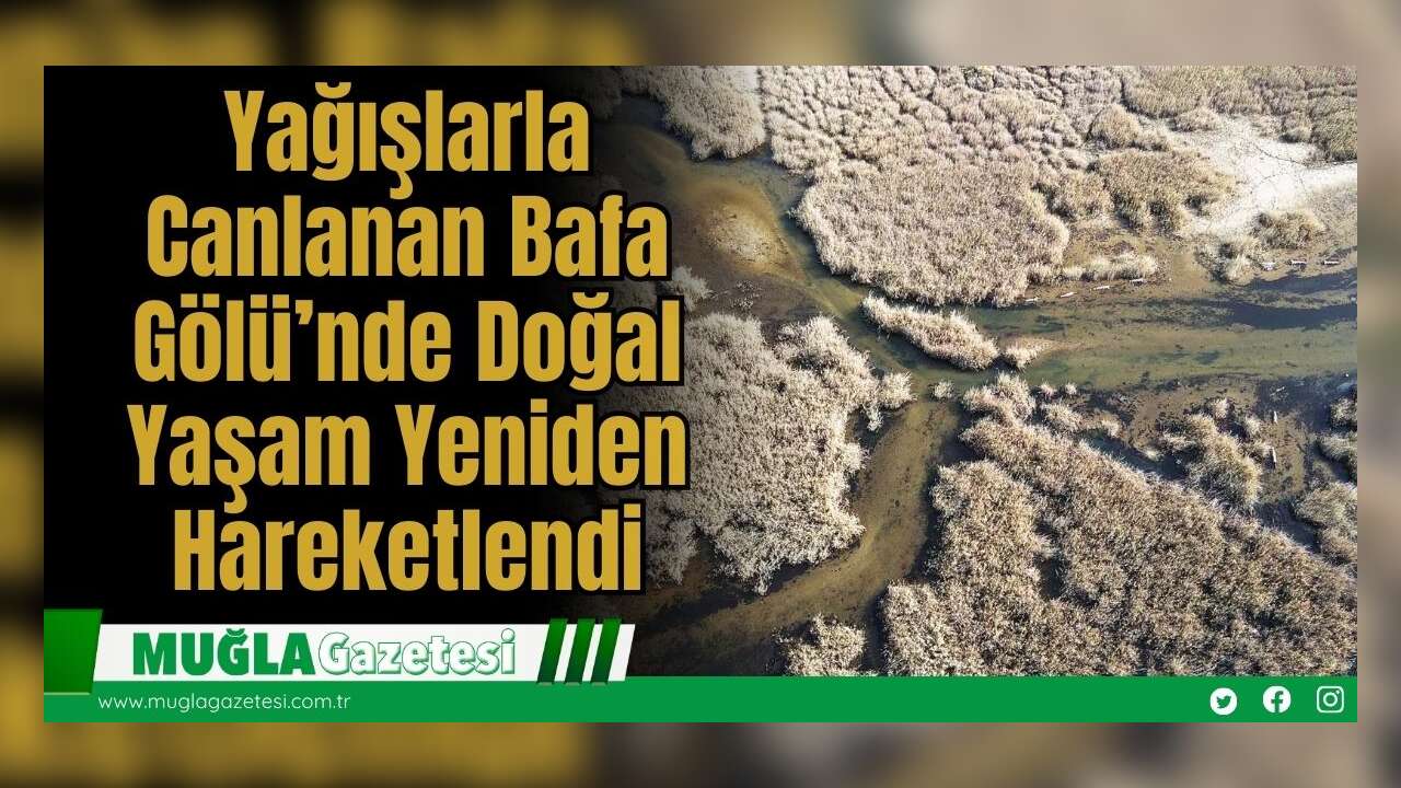 Yağışlarla Canlanan Bafa Gölü’nde Doğal Yaşam Yeniden Hareketlendi