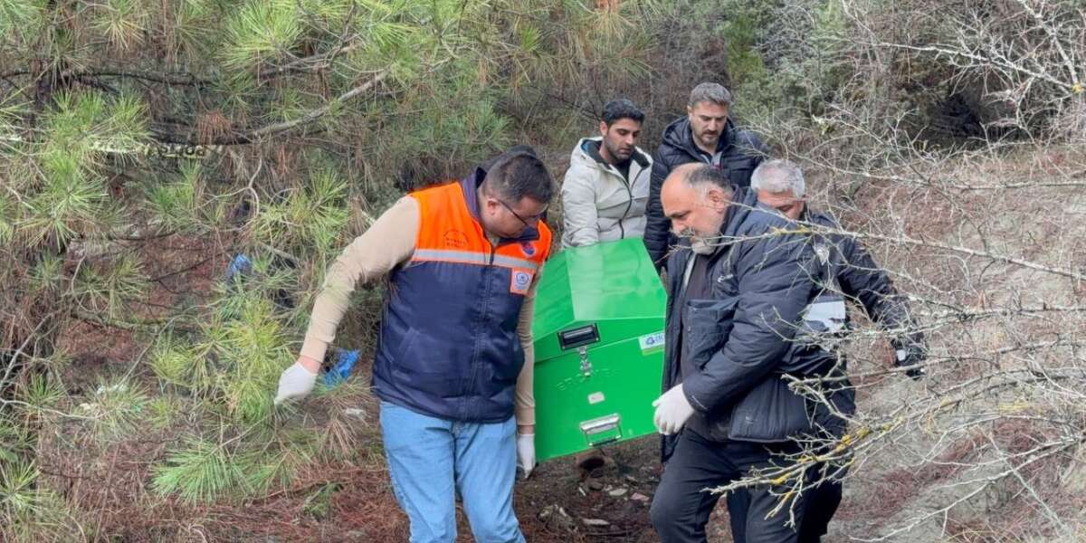 Günlerdir Haber Alınamıyordu: Kayıp Genç Ağaçlık Alanda Ölü Bulundu