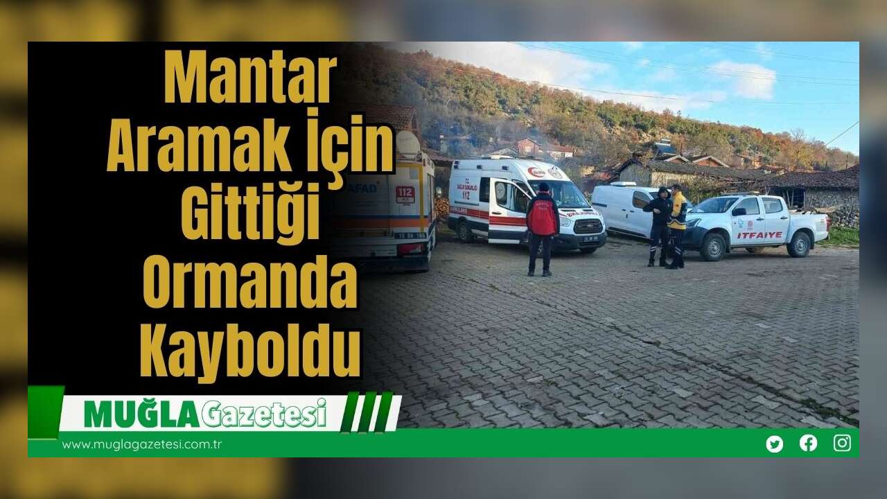 Mantar Aramak İçin Gittiği Ormanda Kayboldu