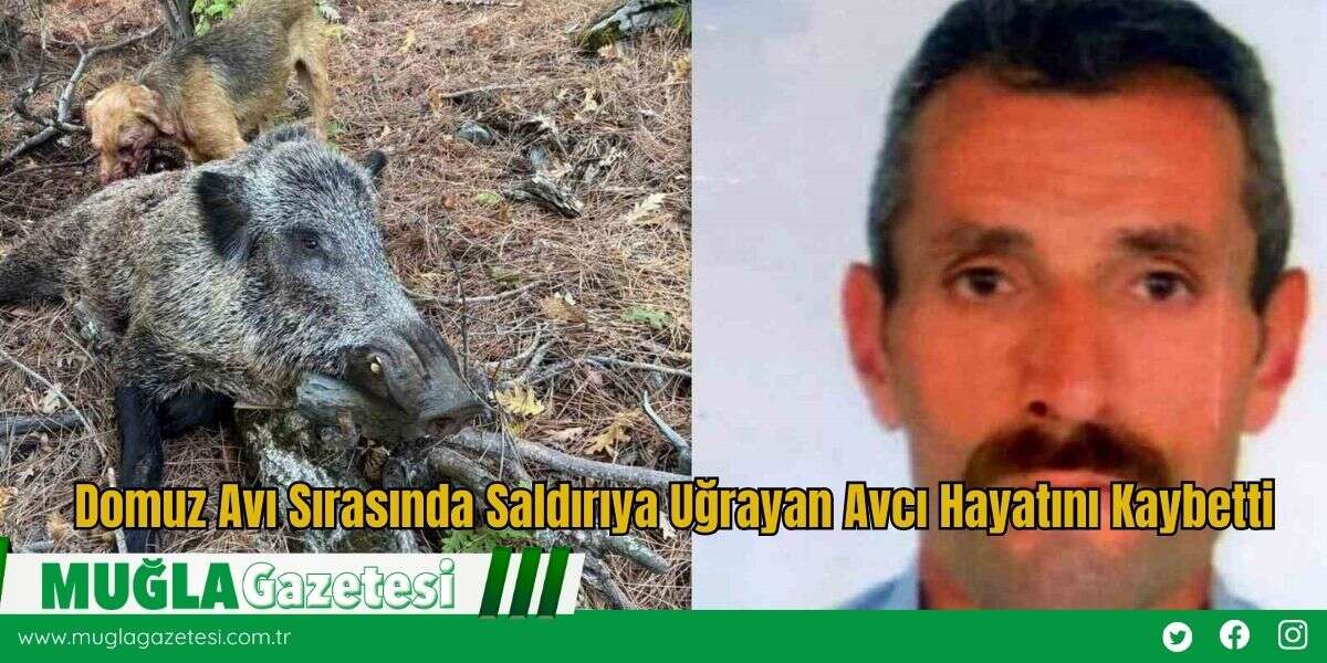 Domuz Avı Sırasında Saldırıya Uğrayan Avcı Hayatını Kaybetti