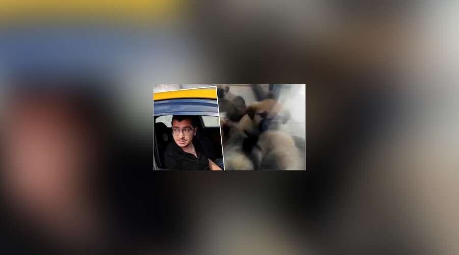 Köpeklere C*ns*l İstismar ve Öld*rme Suçundan Hüküm Giyen Doktorun Gerekçeli Kararı Açıklandı