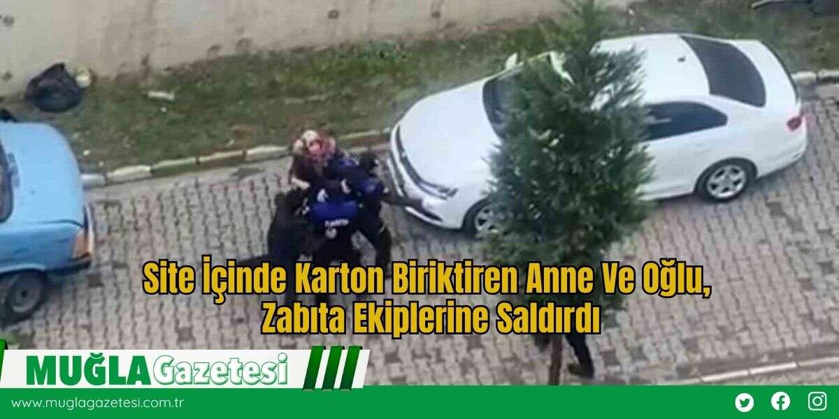Site İçinde Karton Biriktiren Anne Ve Oğlu, Zabıta Ekiplerine Saldırdı