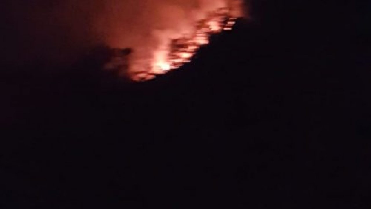 Marmaris’te orman yangını