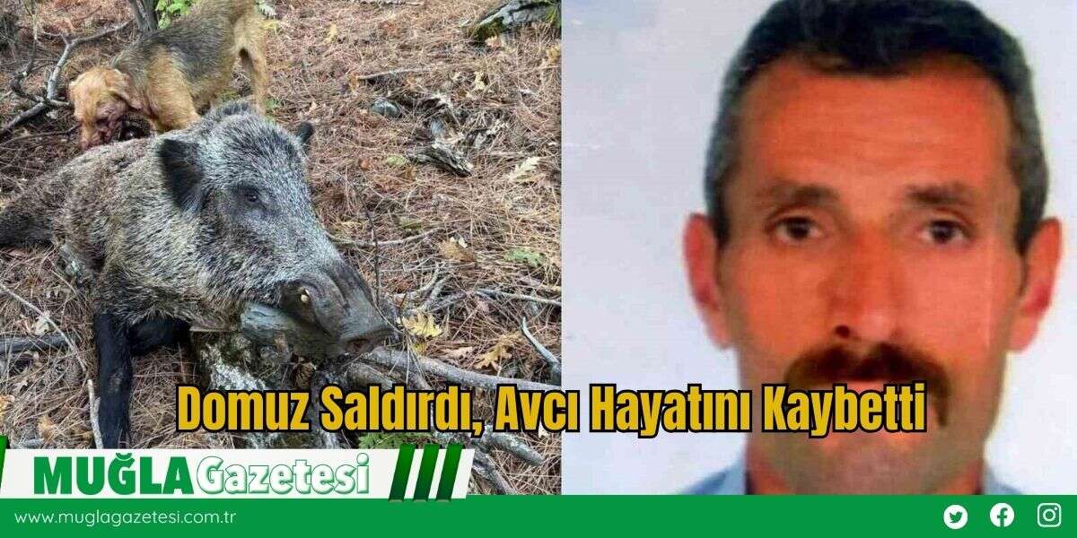 Domuz Saldırdı, Avcı Hayatını Kaybetti