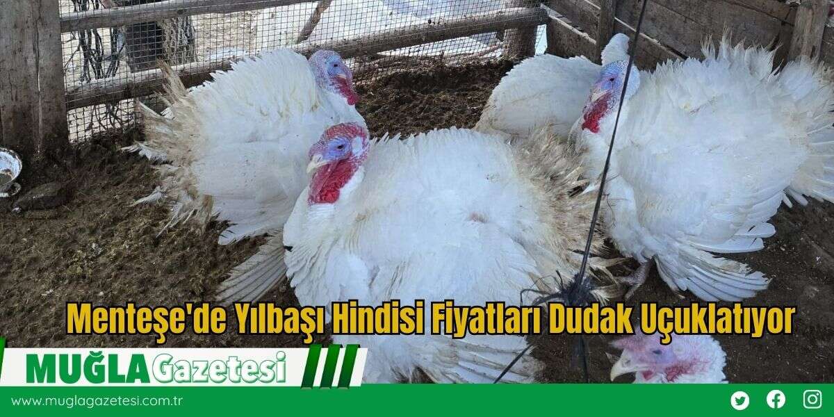 Menteşe'de Yılbaşı Hindisi Fiyatları Dudak Uçuklatıyor