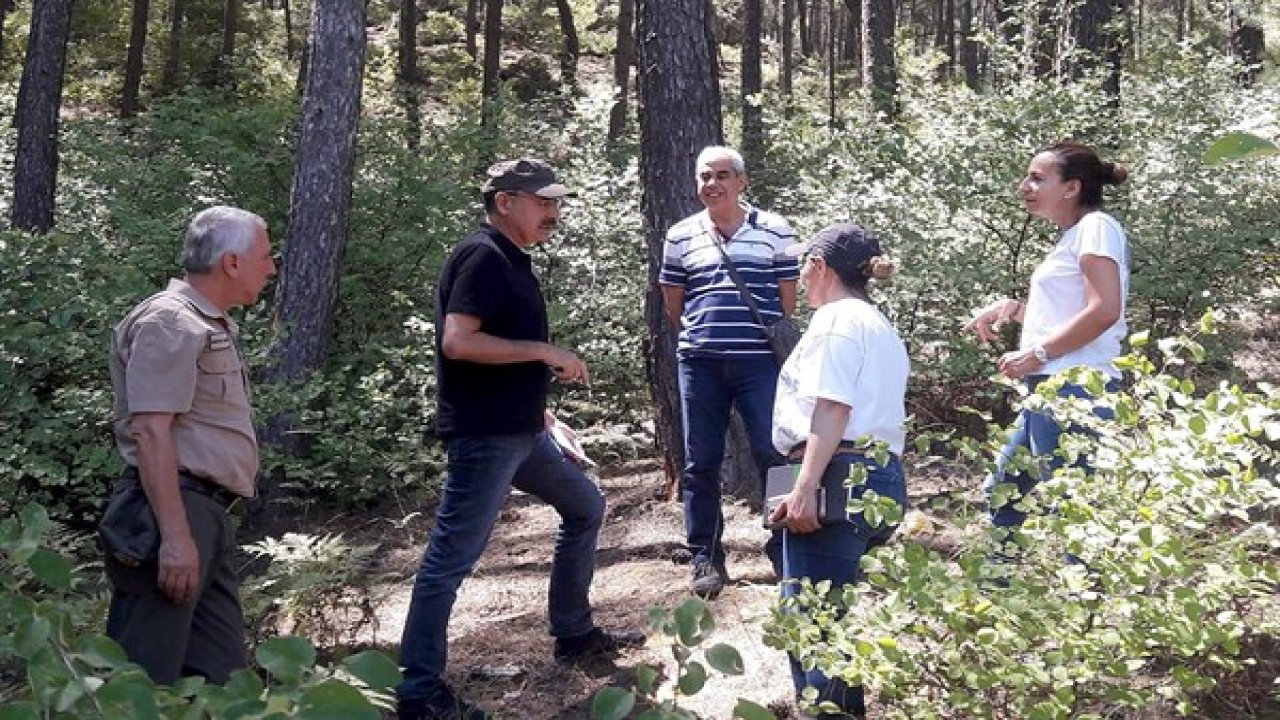 Silvikültür ve Üretim Sahaları Denetlendi
