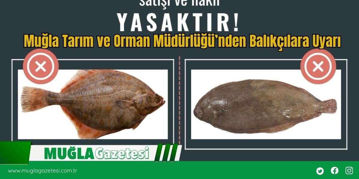 Muğla Tarım ve Orman Müdürlüğü’nden Balıkçılara Uyarı