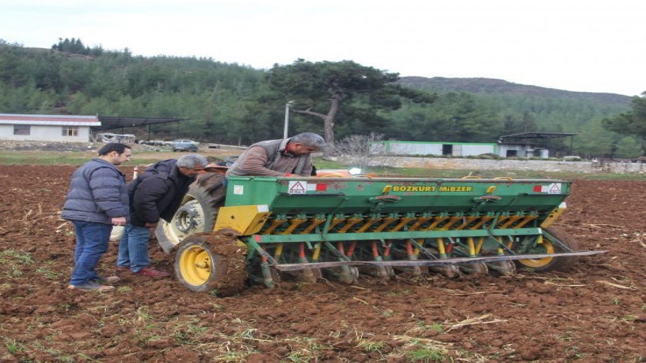 Önder Çiftçiler Yerel Tohumlara Yöneliyor
