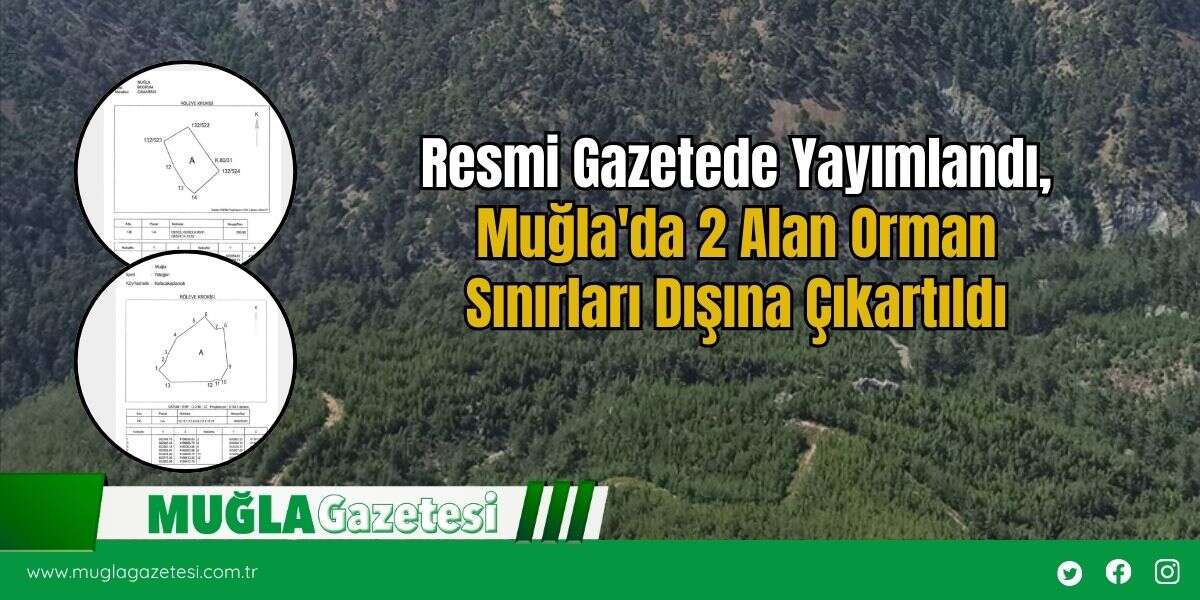 Resmi Gazetede Yayımlandı, Muğla'da 2 Alan Orman Sınırları Dışına Çıkartıldı