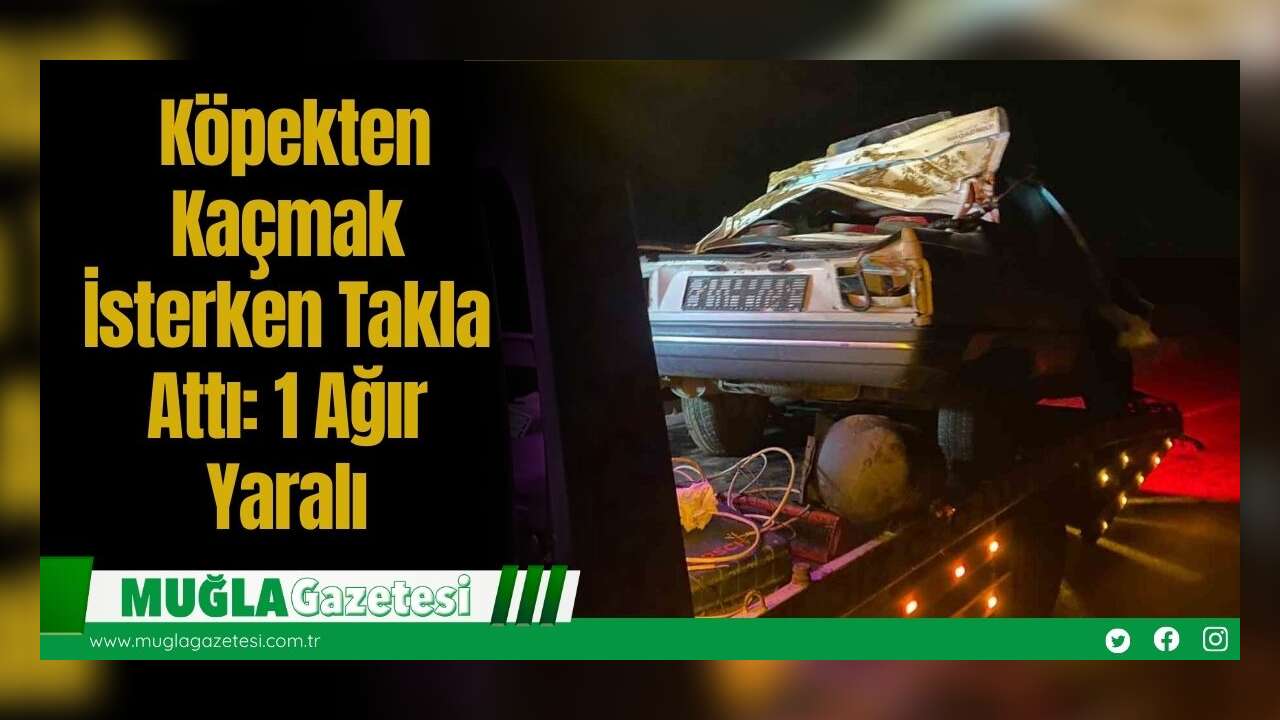 Köpekten Kaçmak İsterken Takla Attı: 1 Ağır Yaralı