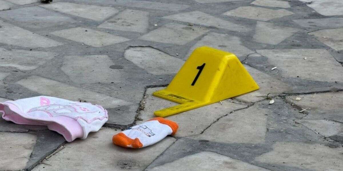 Sinir Krizi Geçiren Anne 2 Aylık Bebeğini Pencereden Attı, Bebek Hayatını Kaybetti