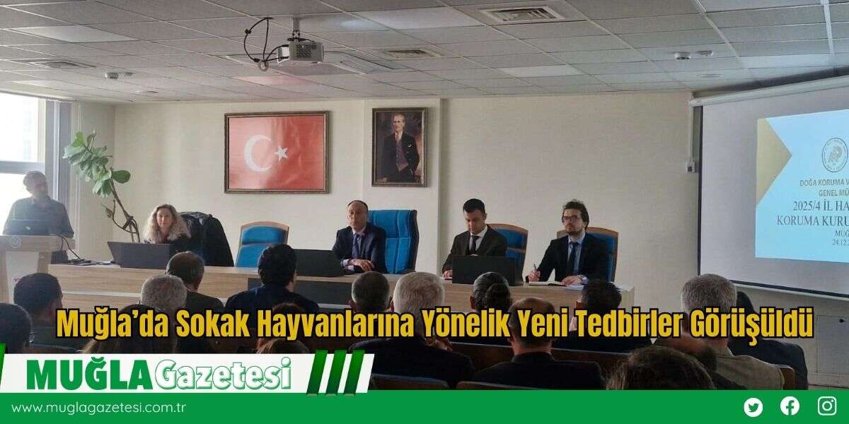 Muğla’da Sokak Hayvanlarına Yönelik Yeni Tedbirler Görüşüldü
