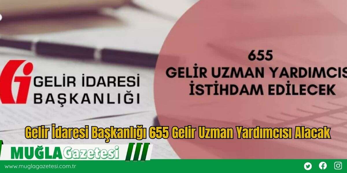Gelir İdaresi Başkanlığı 655 Gelir Uzman Yardımcısı Alacak