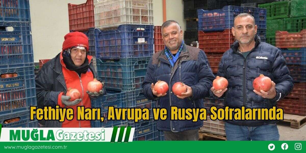 Fethiye Narı, Avrupa ve Rusya Sofralarında