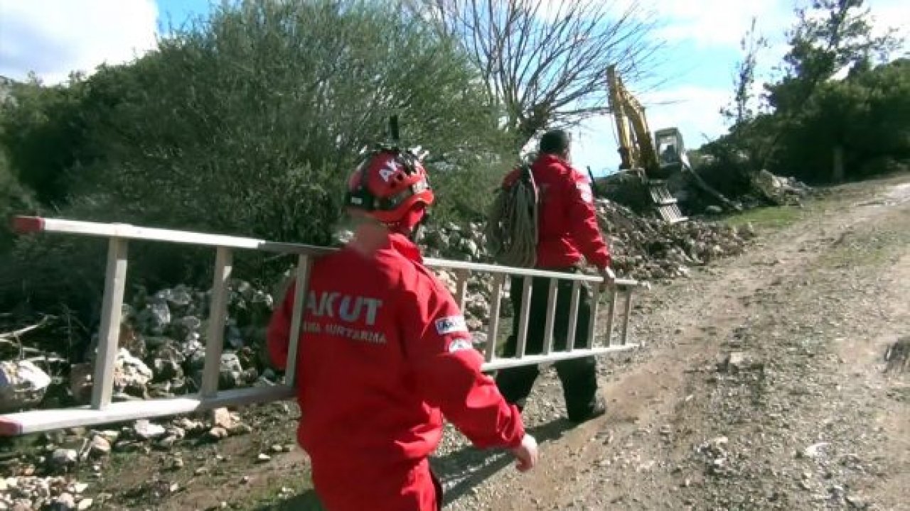 Kuyuya düşen domuz için seferber oldular