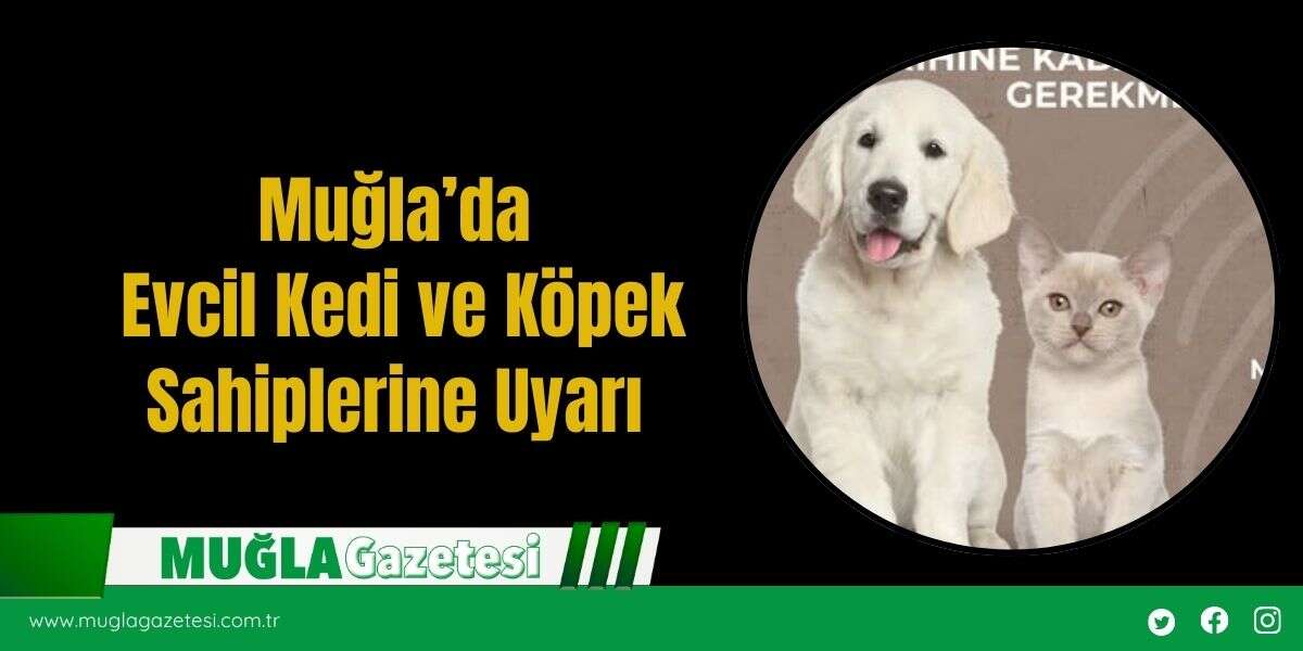 Muğla’da Evcil Kedi ve Köpek Sahiplerine Mikroçip Uyarısı