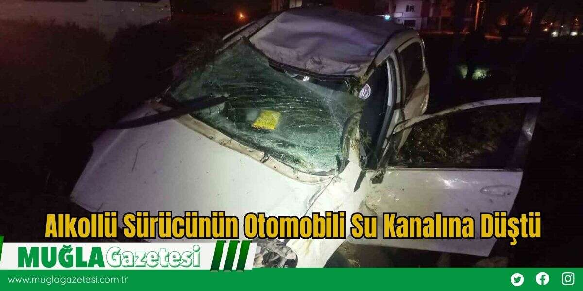 Alkollü Sürücünün Otomobili Su Kanalına Düştü