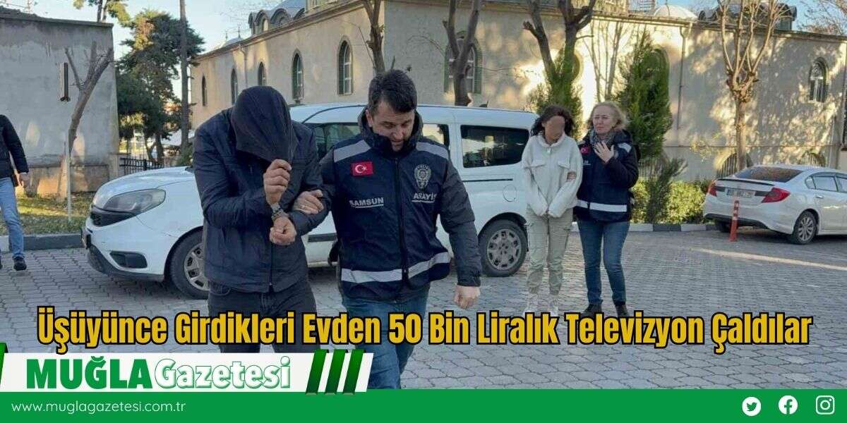 Üşüyünce Girdikleri Evden 50 Bin Liralık Televizyon Çaldılar