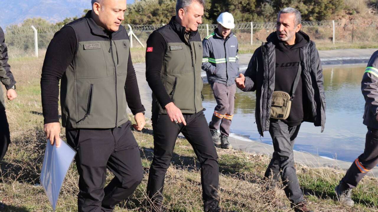 Muğla Orman Bölge Müdürü Ülküdür, Aydın’daki Ormancılık Çalışmalarını İnceledi