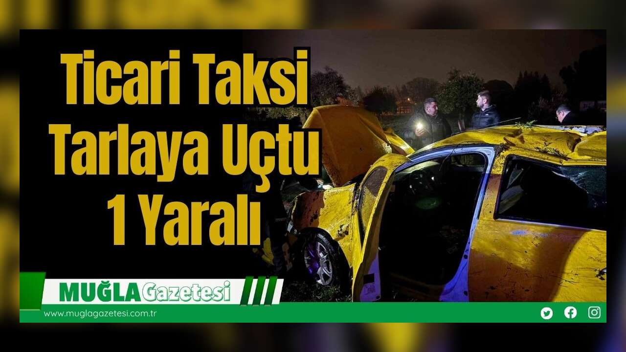 Ticari Taksi Tarlaya Uçtu: 1 Yaralı