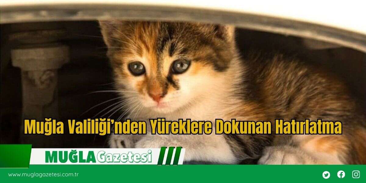 Muğla Valiliği’nden Yüreklere Dokunan Hatırlatma