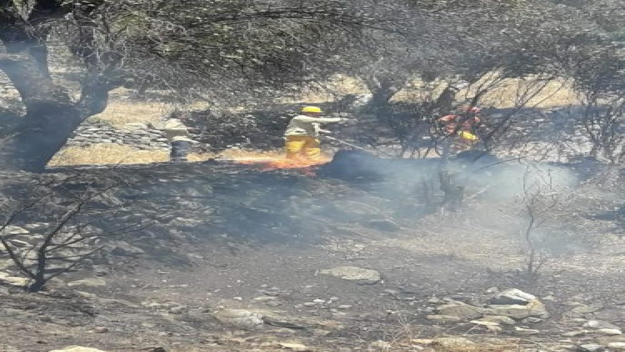Datça’da ziraat yangını