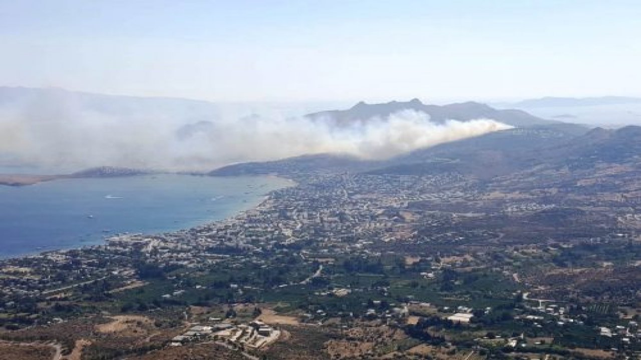 23 hektarlık alan kül oldu