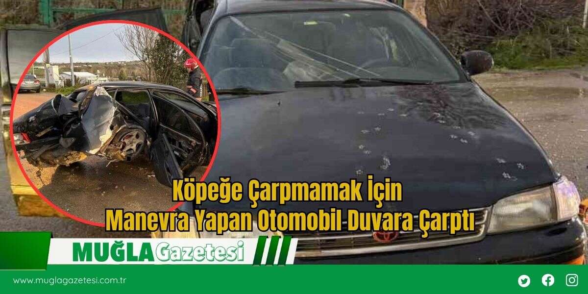 Köpeğe Çarpmamak İçin Manevra Yapan Otomobil Duvara Çarptı