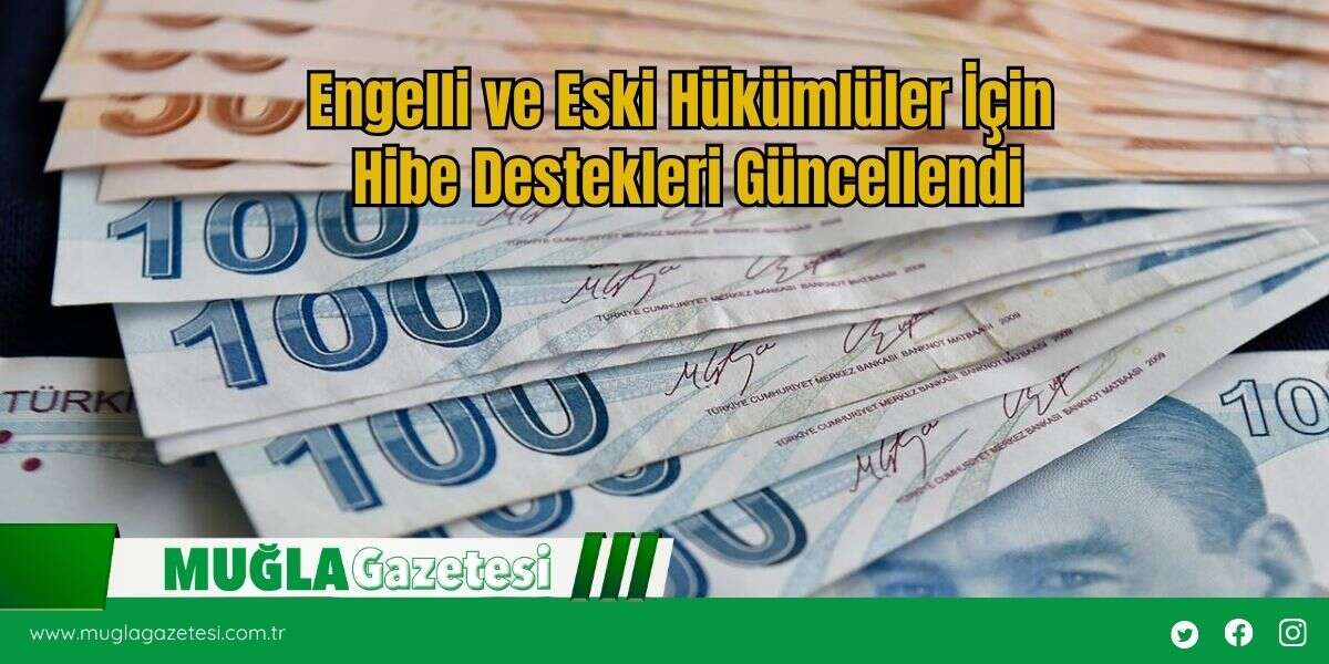 Engelli ve Eski Hükümlüler İçin Hibe Destekleri Güncellendi
