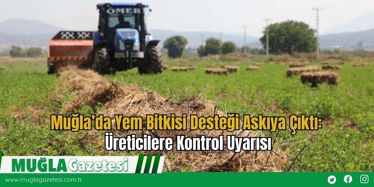Muğla’da Yem Bitkisi Desteği Askıya Çıktı: Üreticilere Kontrol Uyarısı