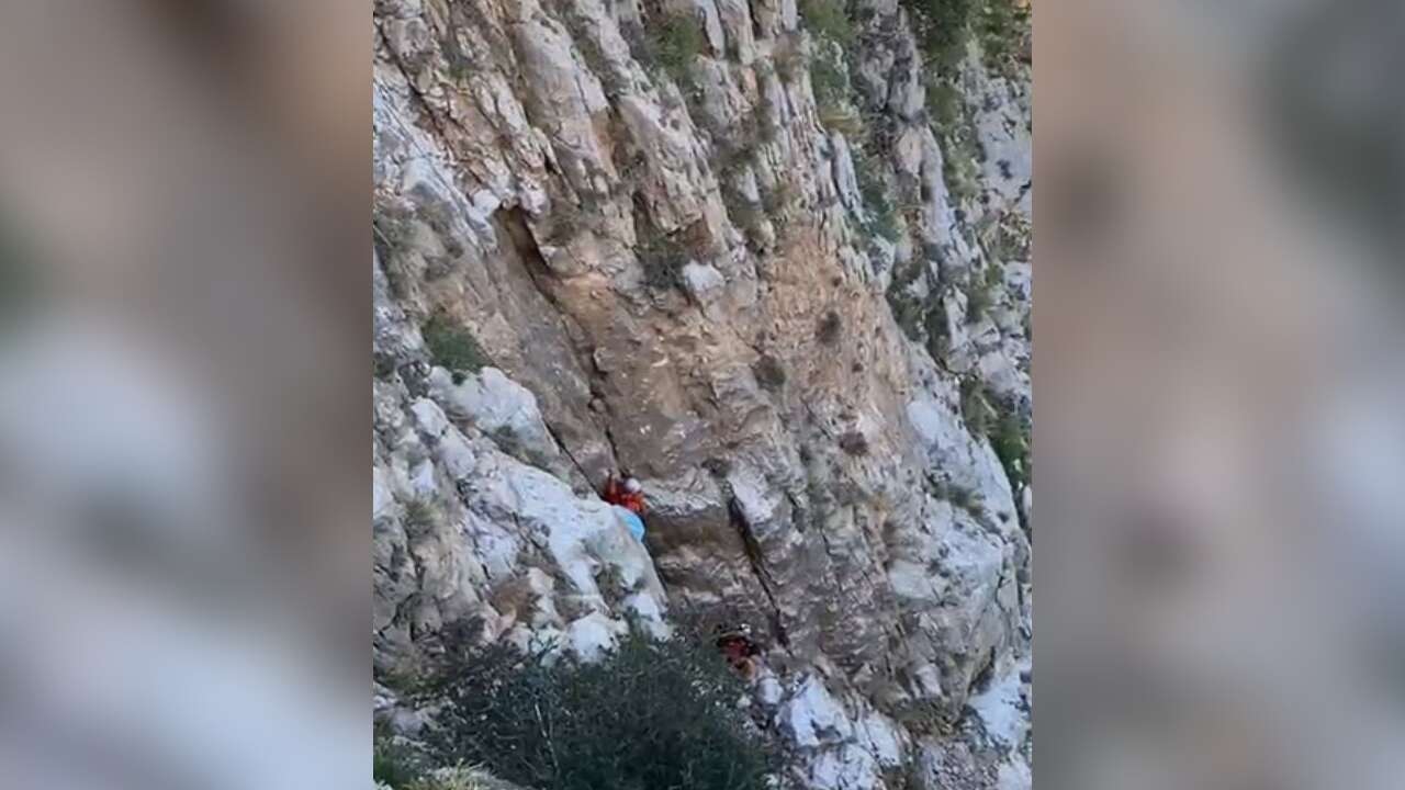 Kayalıklarda Mahsur Kalan Keçi Kurtarıldı