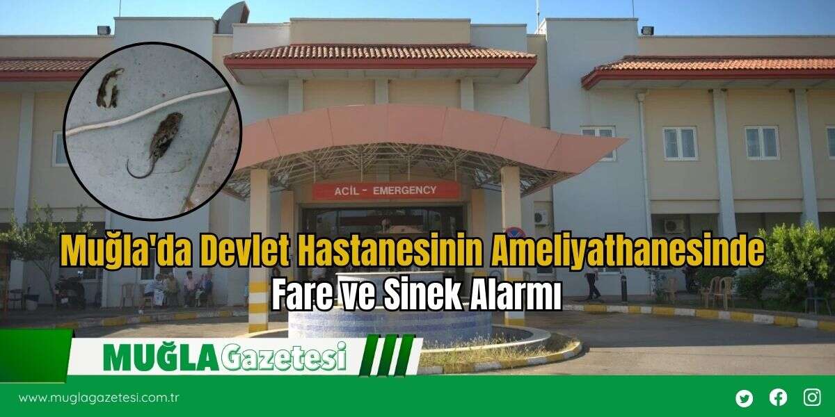 Muğla'da Devlet Hastanesinin Ameliyathanesinde Fare ve Sinek Alarmı