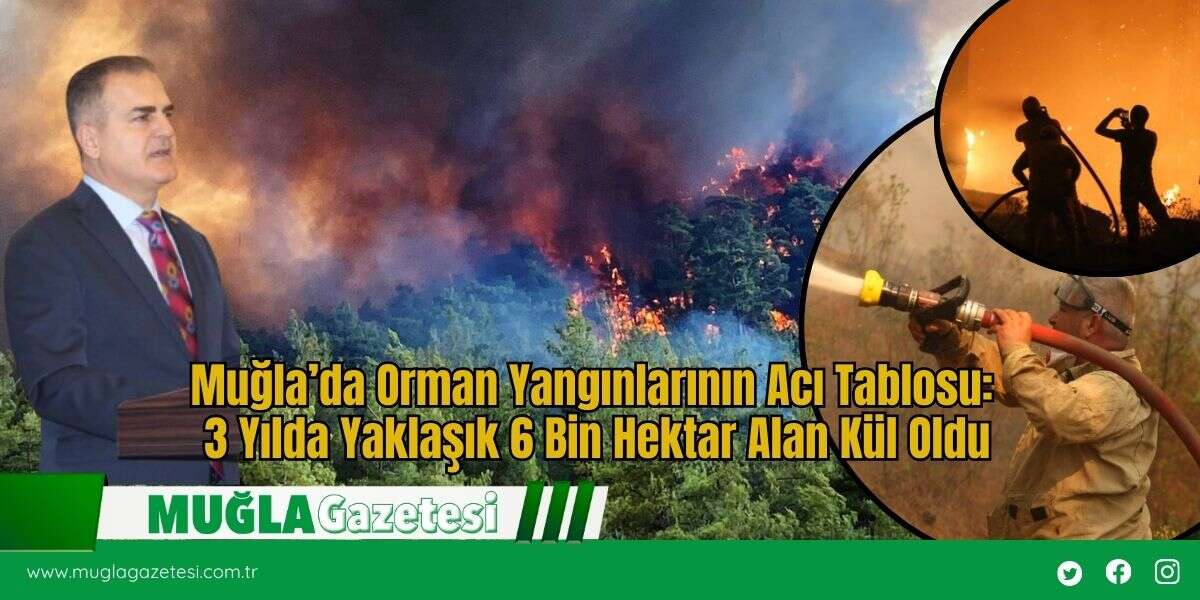 Muğla’da Orman Yangınlarının Acı Tablosu: 3 Yılda Yaklaşık 6 Bin Hektar Alan Kül Oldu
