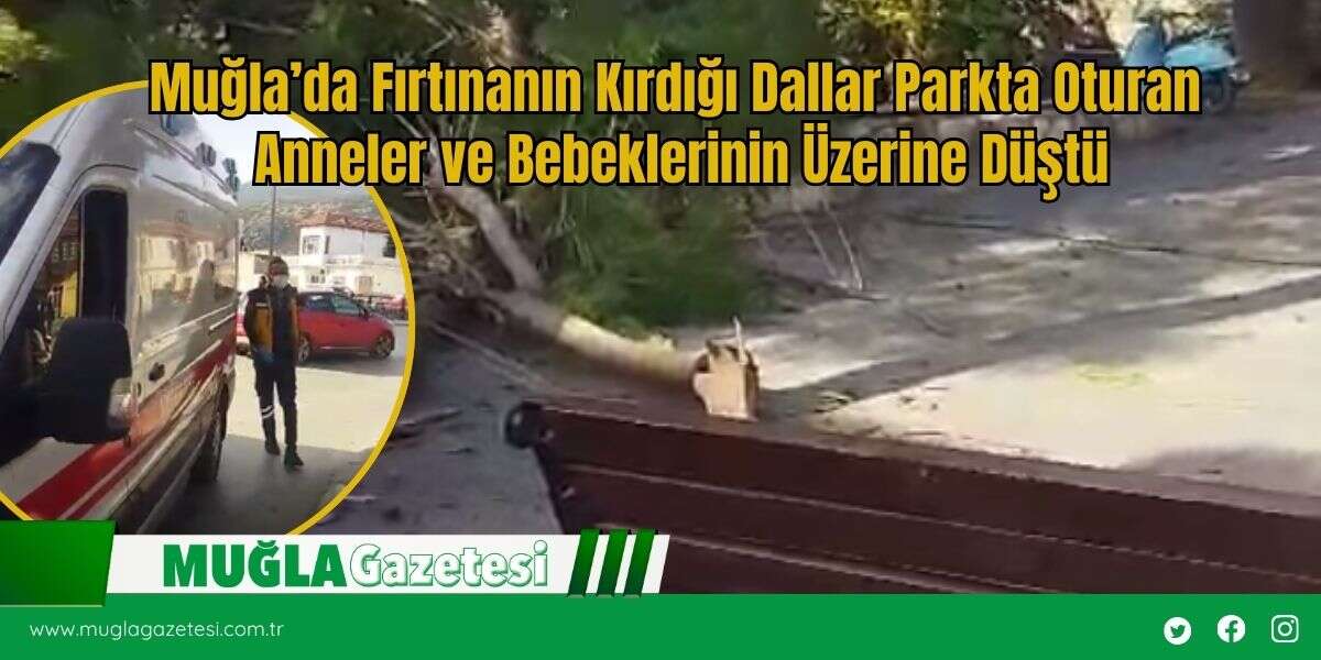 Muğla’da Fırtınanın Kırdığı Dallar Parkta Oturan Anneler ve Bebeklerinin Üzerine Düştü