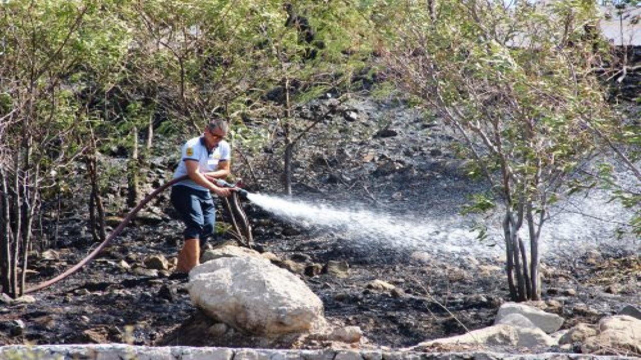 Tüm mahalleyi alevler sardı, vatandaşlar şok oldu