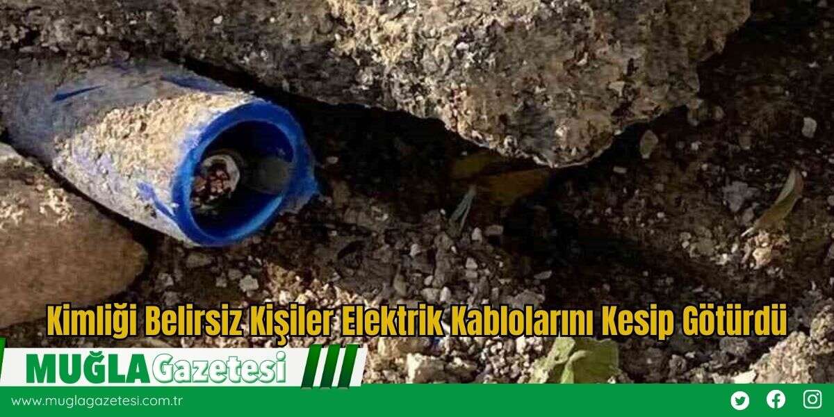 Kimliği Belirsiz Kişiler Elektrik Kablolarını Kesip Götürdü