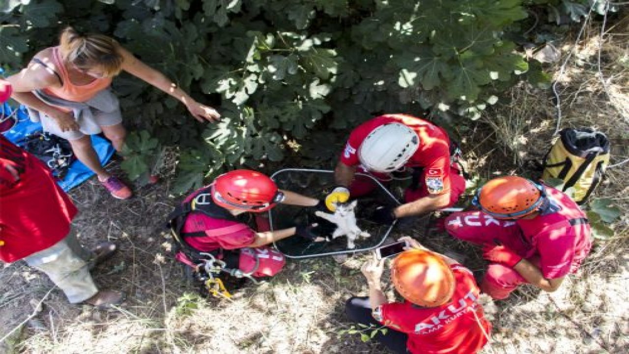 Kediyi AKUT kurtardı