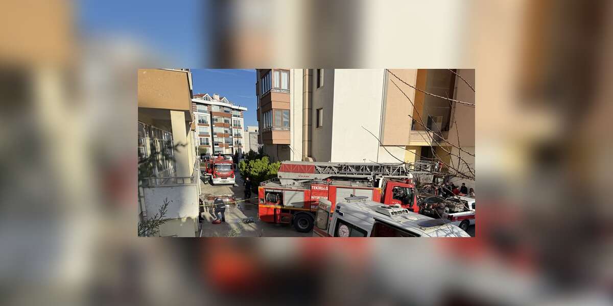 Meclis Üyesinin Annesi Yangın Çıkan Evde Bıçaklanmış Halde Bulundu