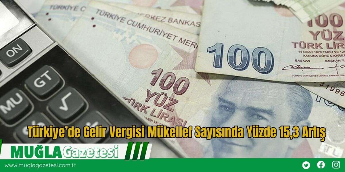 Türkiye’de Gelir Vergisi Mükellef Sayısında Yüzde 15,3 Artış