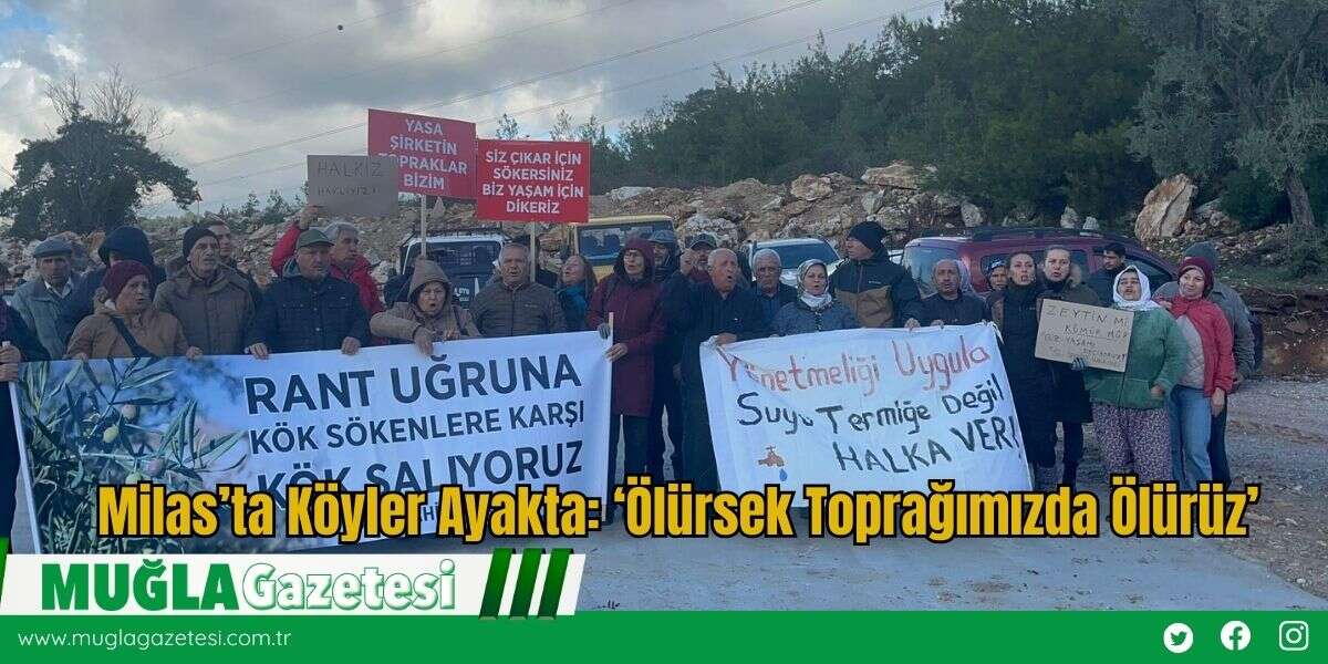 Milas’ta Köyler Ayakta: ‘Ölürsek Toprağımızda Ölürüz’