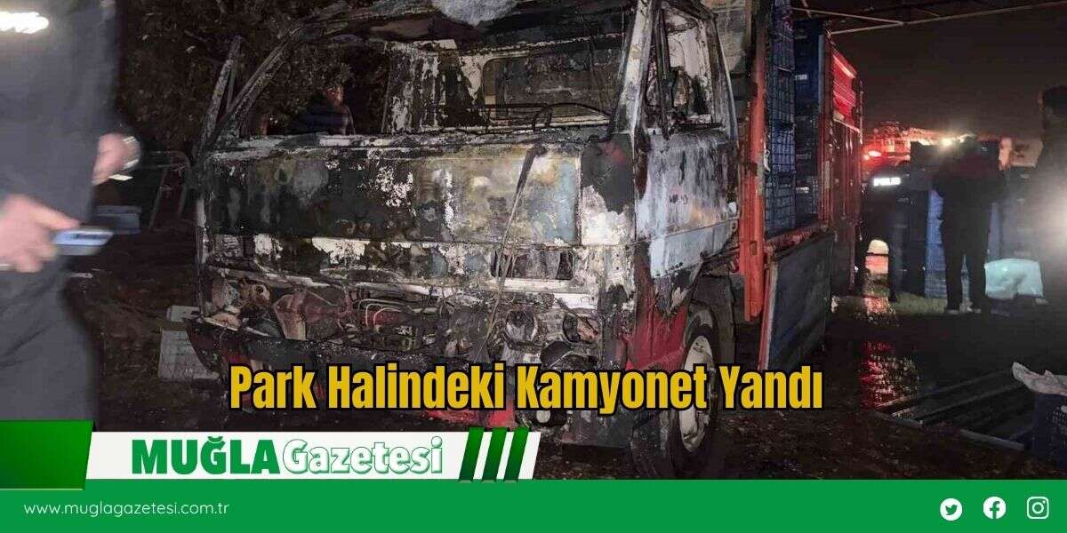 Park Halindeki Kamyonet Yandı