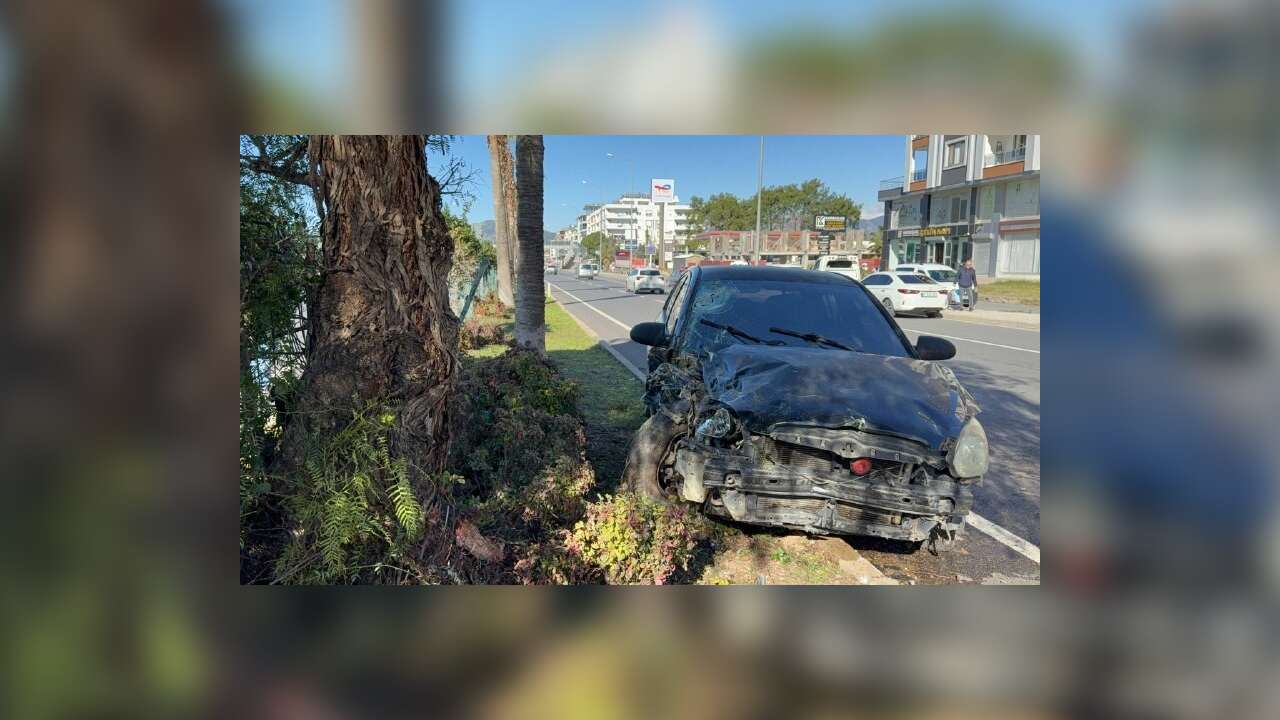 Otomobil Refüjdeki Ağaca Çarptı:2 Yaralı