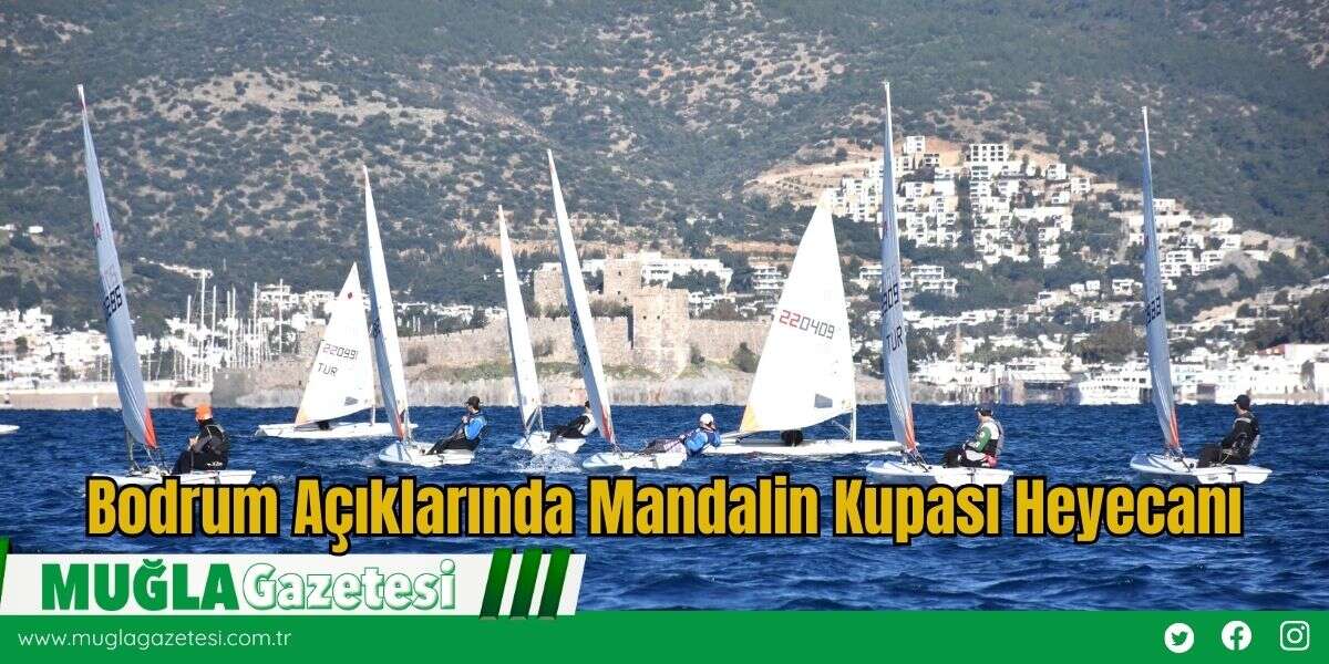Bodrum Açıklarında Mandalin Kupası Heyecanı