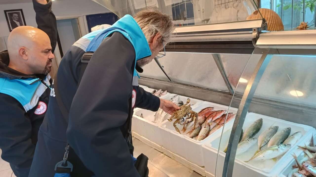 Muğla’da Eş Zamanlı Denetimler: 6 İşletmeye 379 Bin TL Ceza