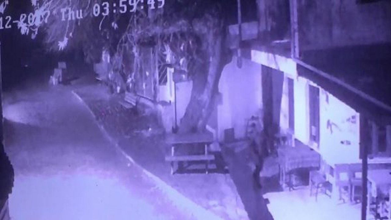 Milas'ın köylerinde hırsızlık alarmı