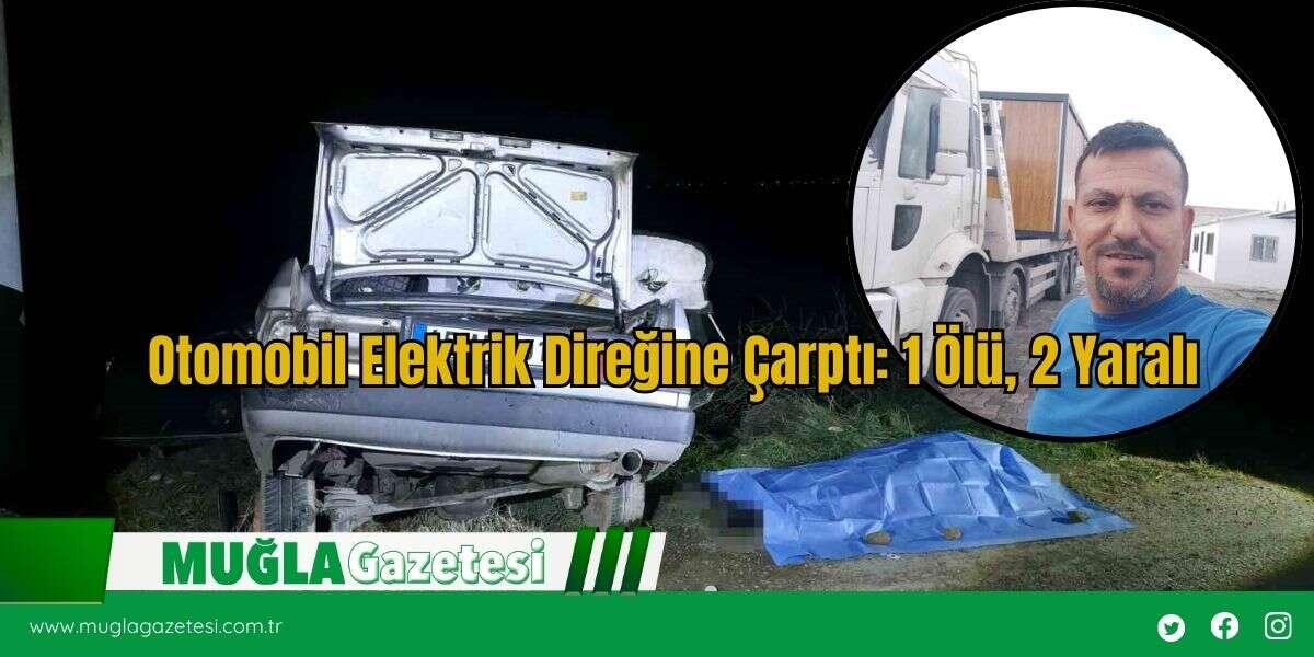 Otomobil Elektrik Direğine Çarptı: 1 Ölü, 2 Yaralı