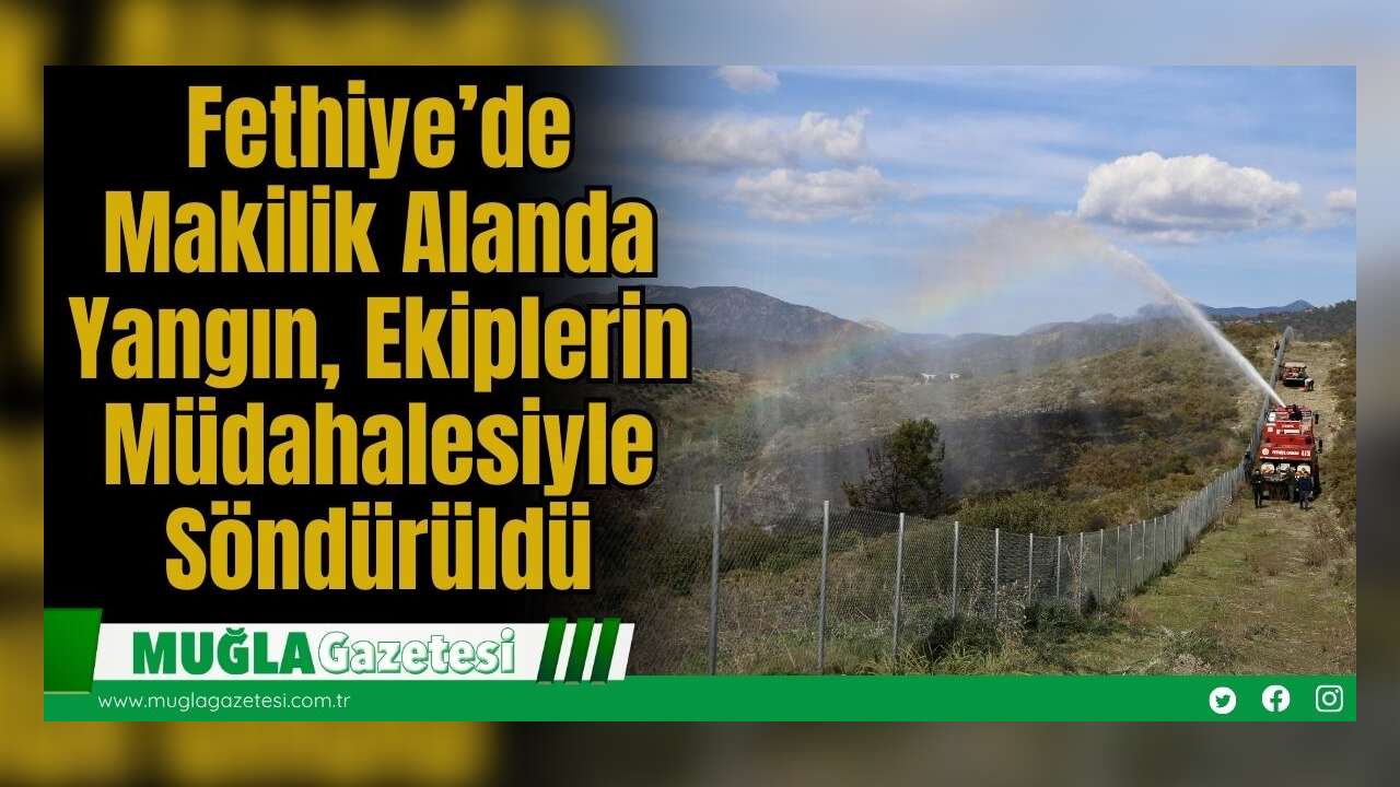 Fethiye’de Makilik Alanda Yangın, Ekiplerin Müdahalesiyle Söndürüldü