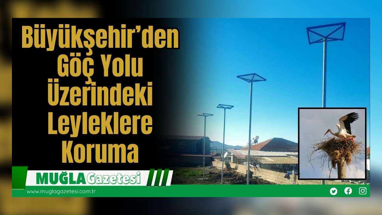 Büyükşehir’den Göç Yolu Üzerindeki Leyleklere Koruma