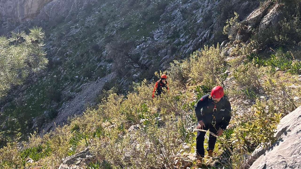 Muğla'da AFAD’dan Kayalıklarda Mahsur Kalan Keçilere Kurtarma Operasyonu